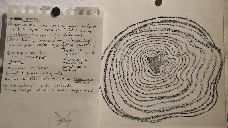 Paulina Ahmed Pecda Migración